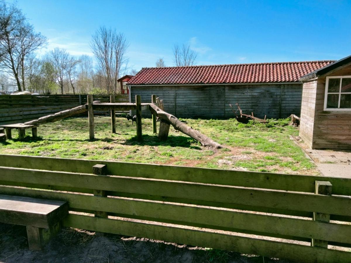 Bj Chalets - Robbengat 68 - Gezellige Chalet Op Vakantiepark Lauwersoog! Vroege Incheck! Εξωτερικό φωτογραφία