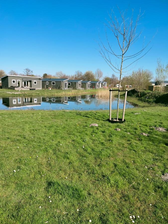 Bj Chalets - Robbengat 68 - Gezellige Chalet Op Vakantiepark Lauwersoog! Vroege Incheck! Εξωτερικό φωτογραφία